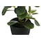 Monarch Specialties Artificial Plant, 14" Tall, Ficus, Indoor, Faux, Fake, Table, Greenery, Potted, Set Of 2, Decorative I 9585 - alternate 2